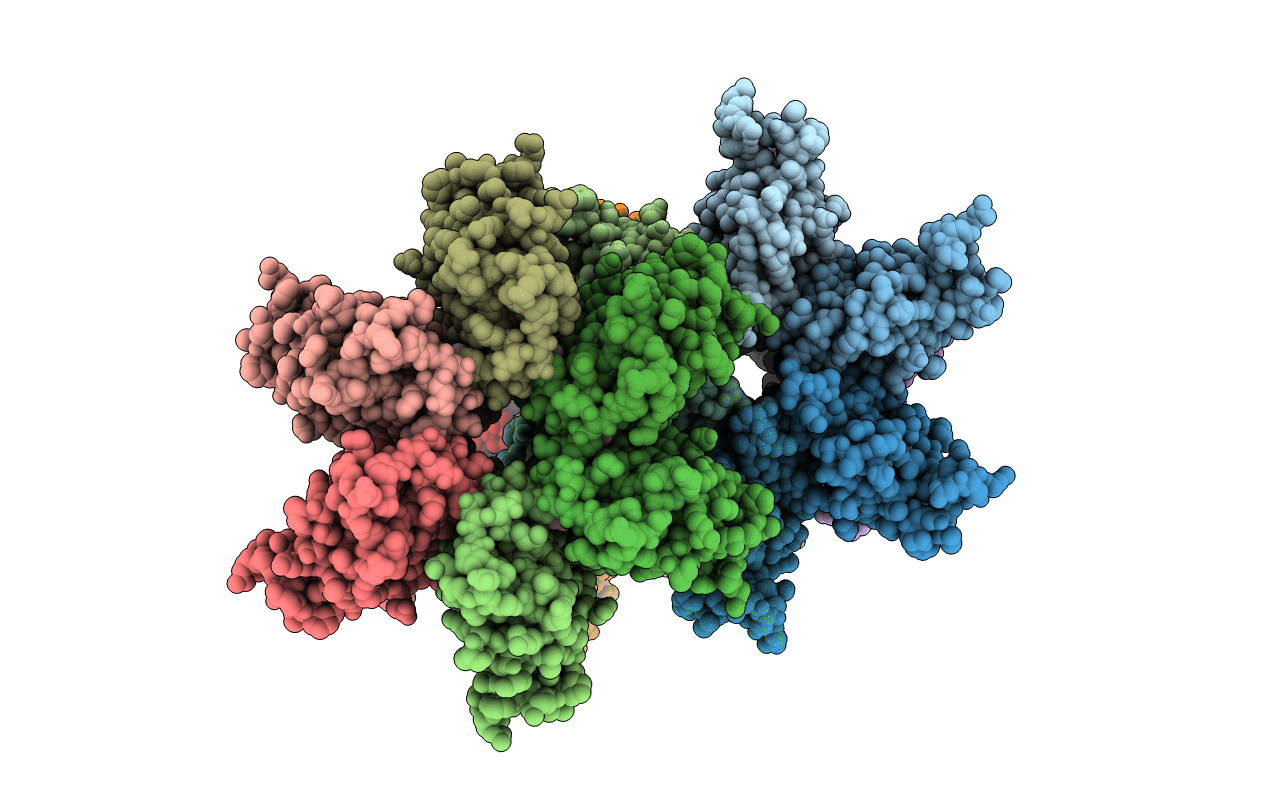 3BP9 image