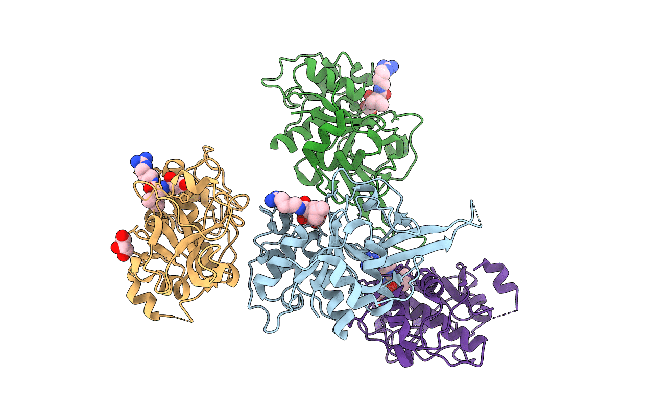 3BPF image