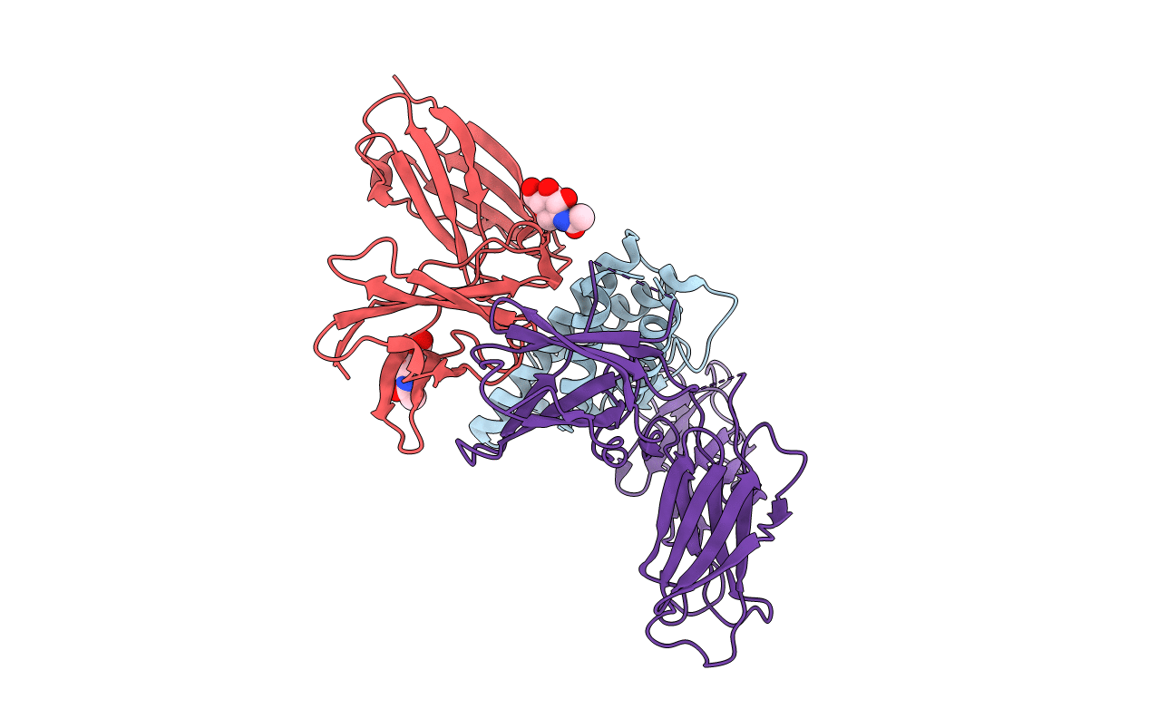 3BPN image
