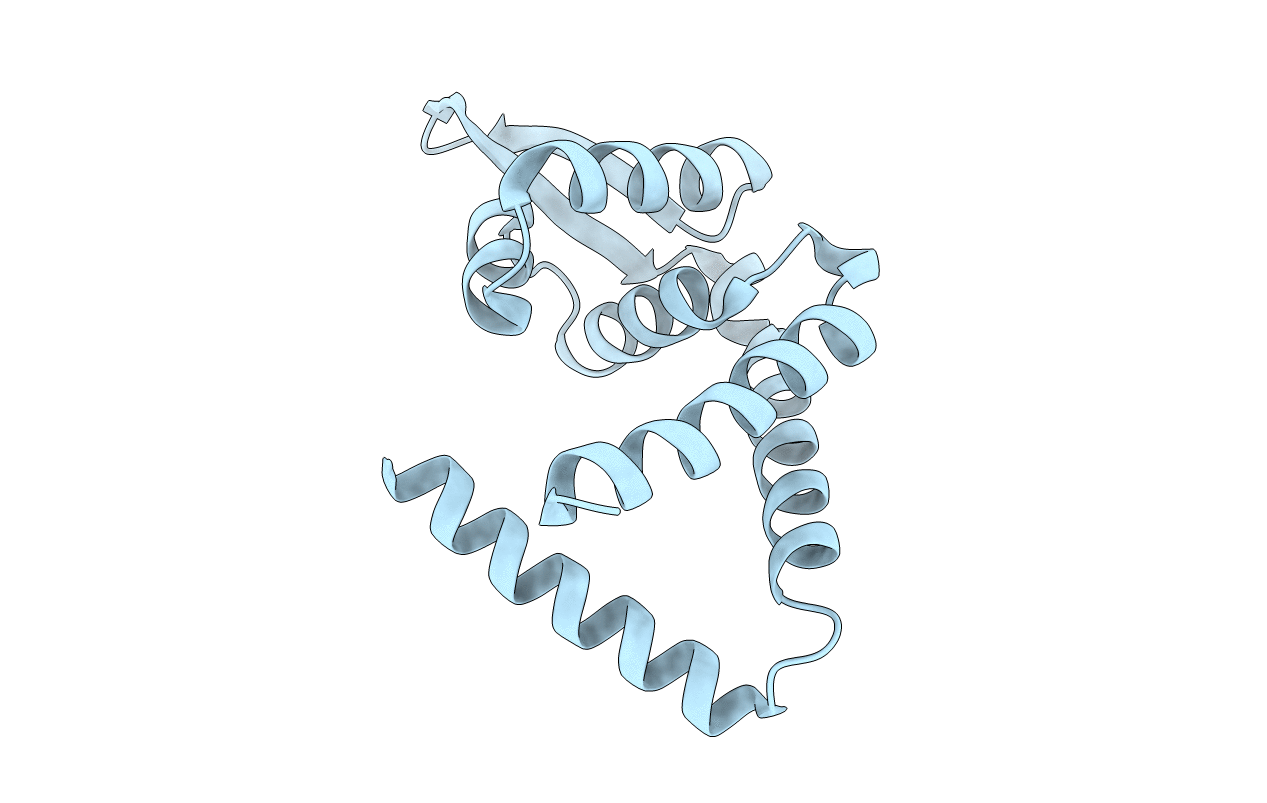 3BPV image
