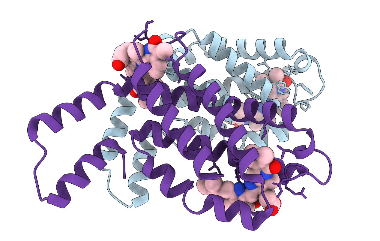 3BRP image