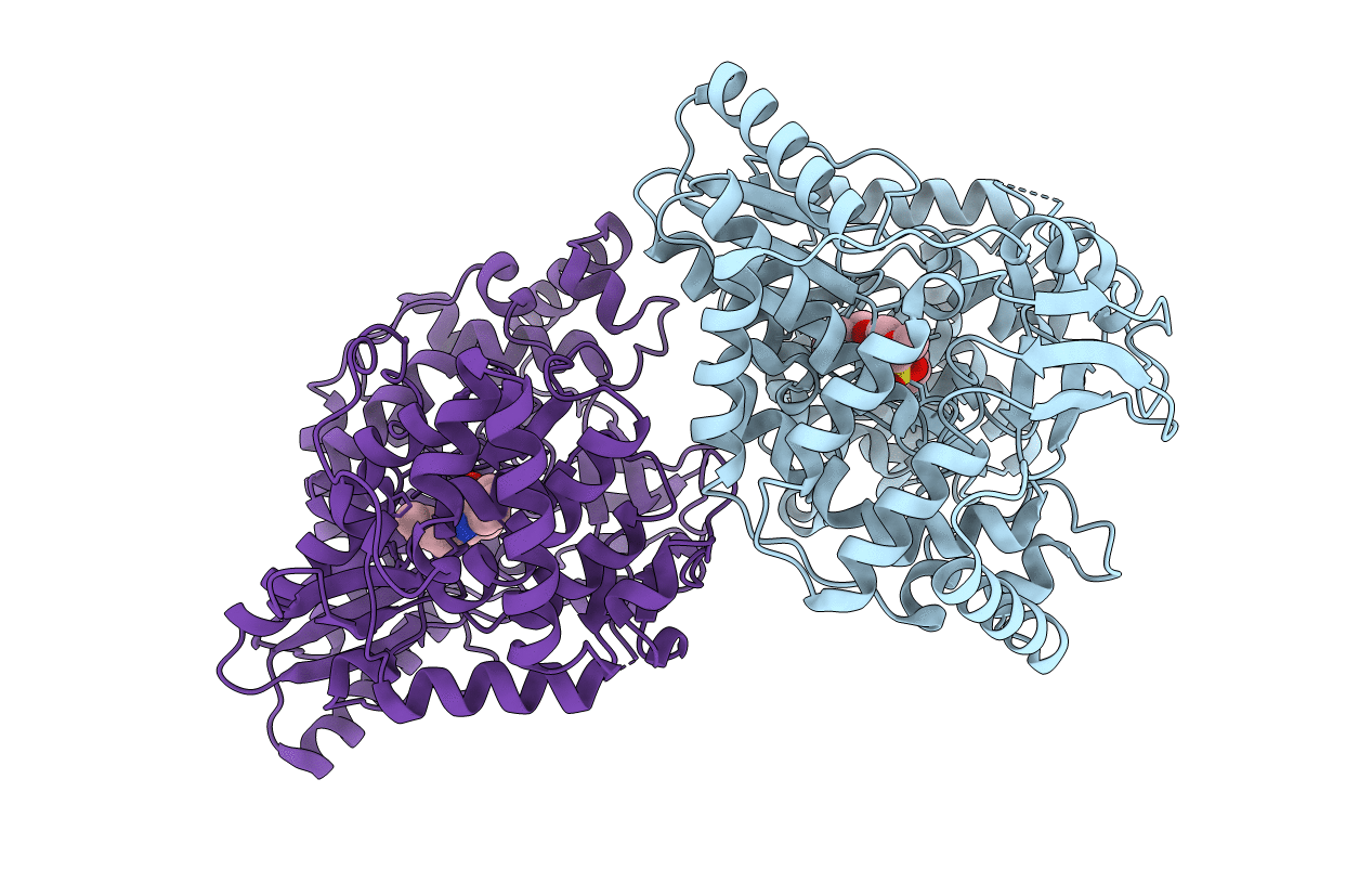 3BSC image