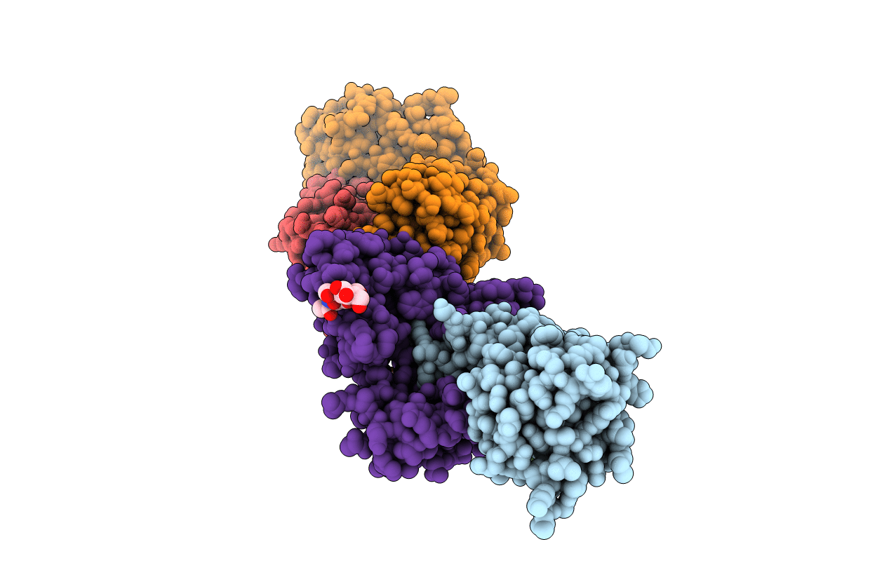3BT2 image