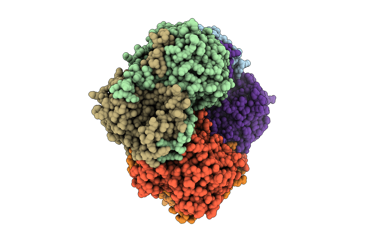 3BV6 image