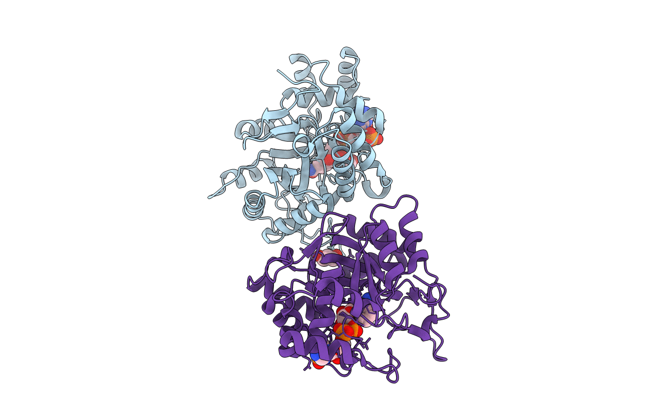 3BV7 image