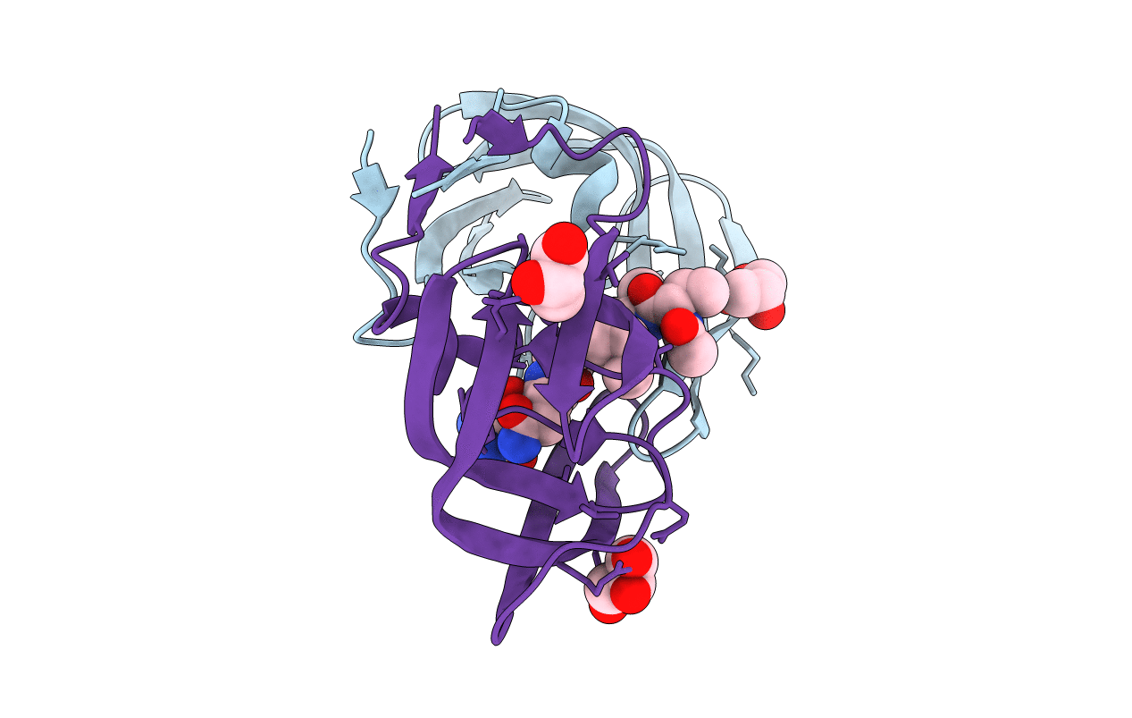 3BVA image