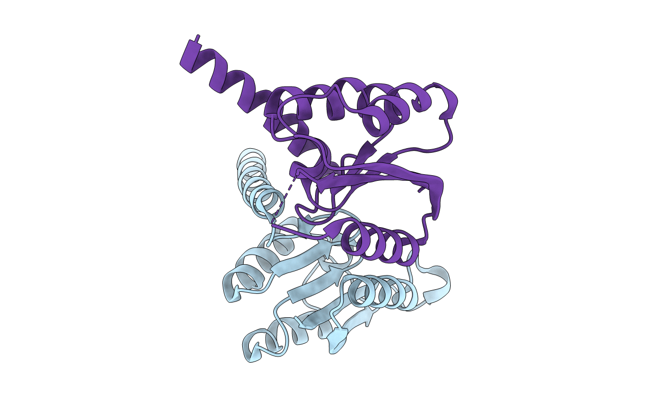 3BVP image