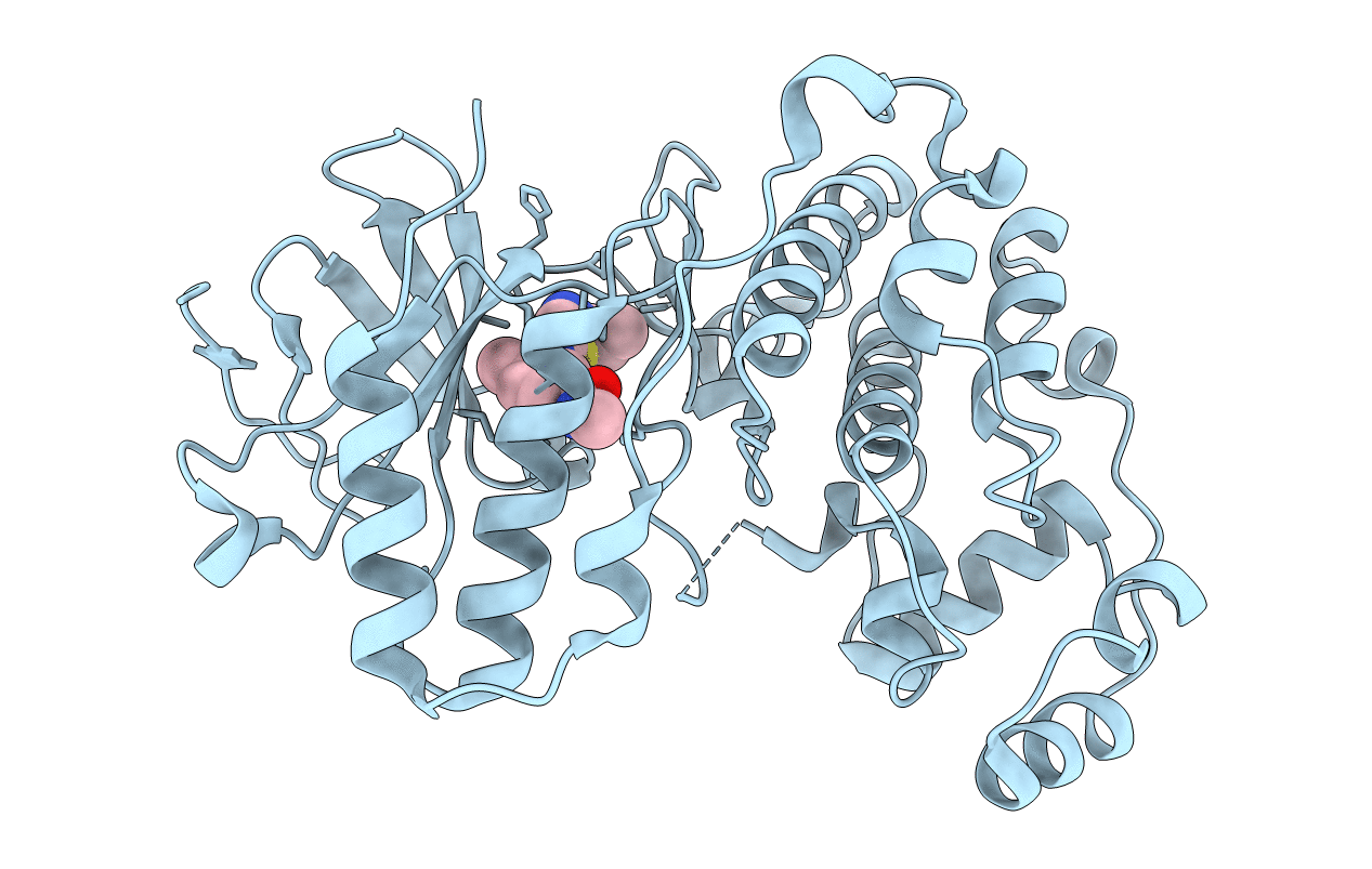 3BX5 image