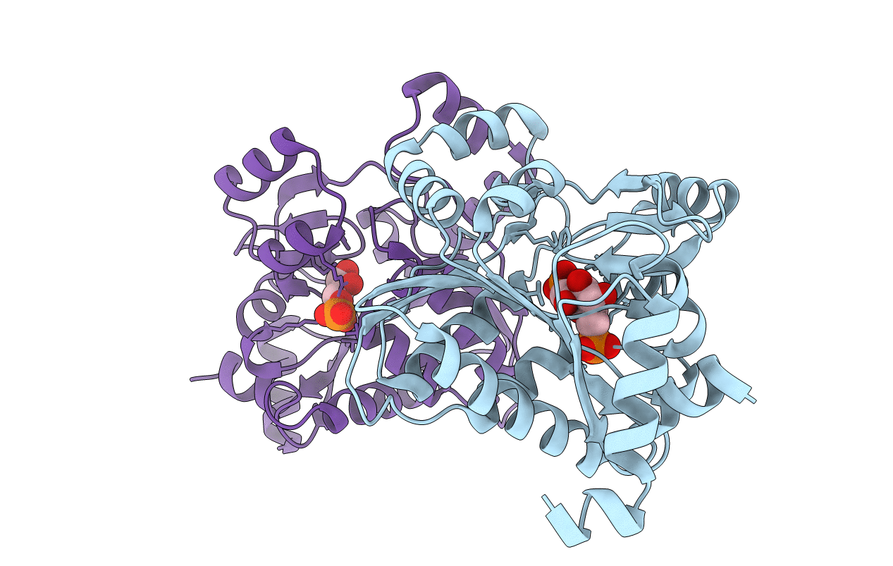 3BXF image