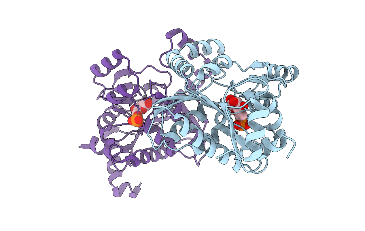 3BXG image