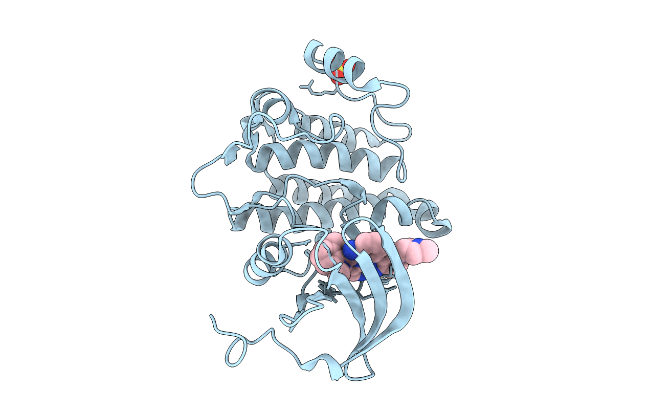 3BYO image