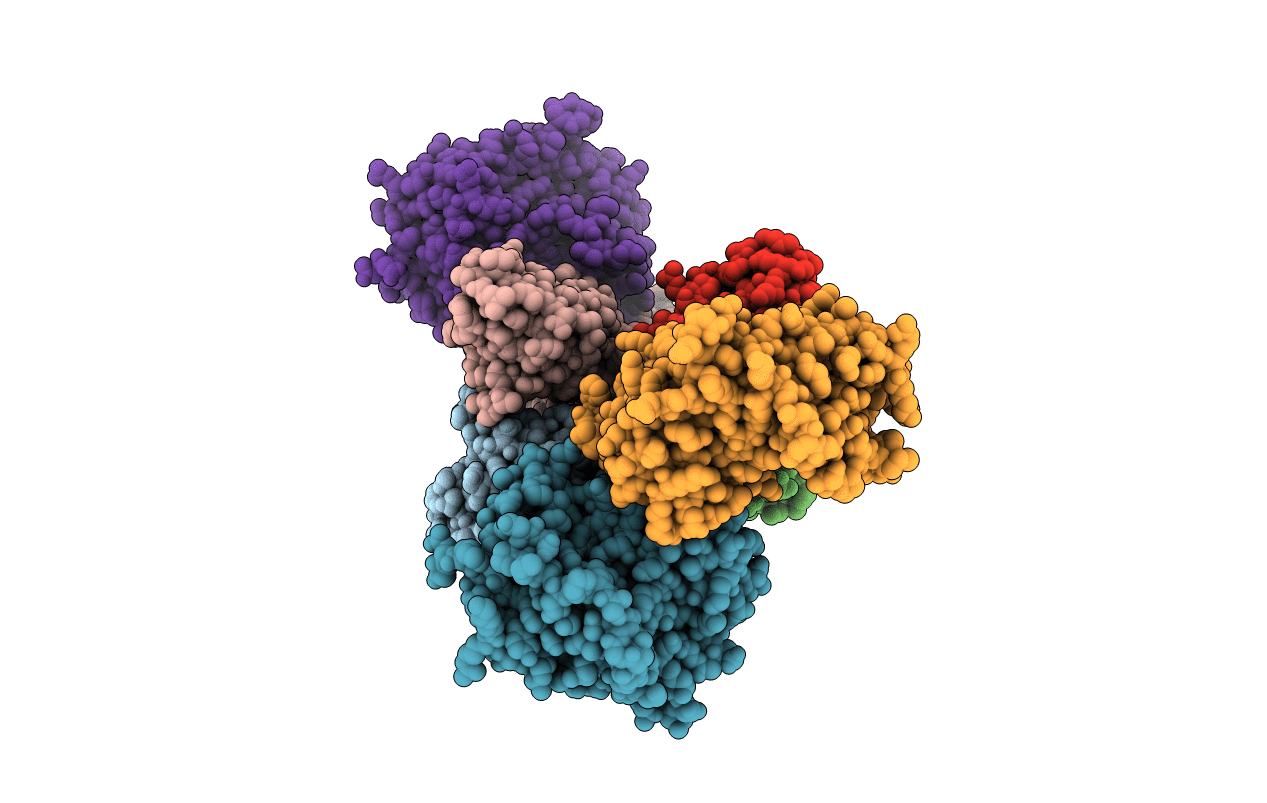 3BYT image
