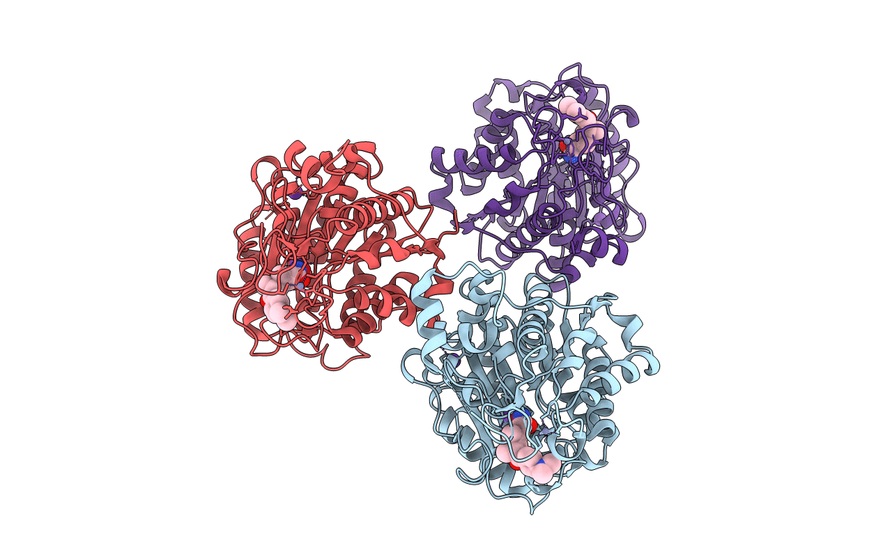 3C10 image