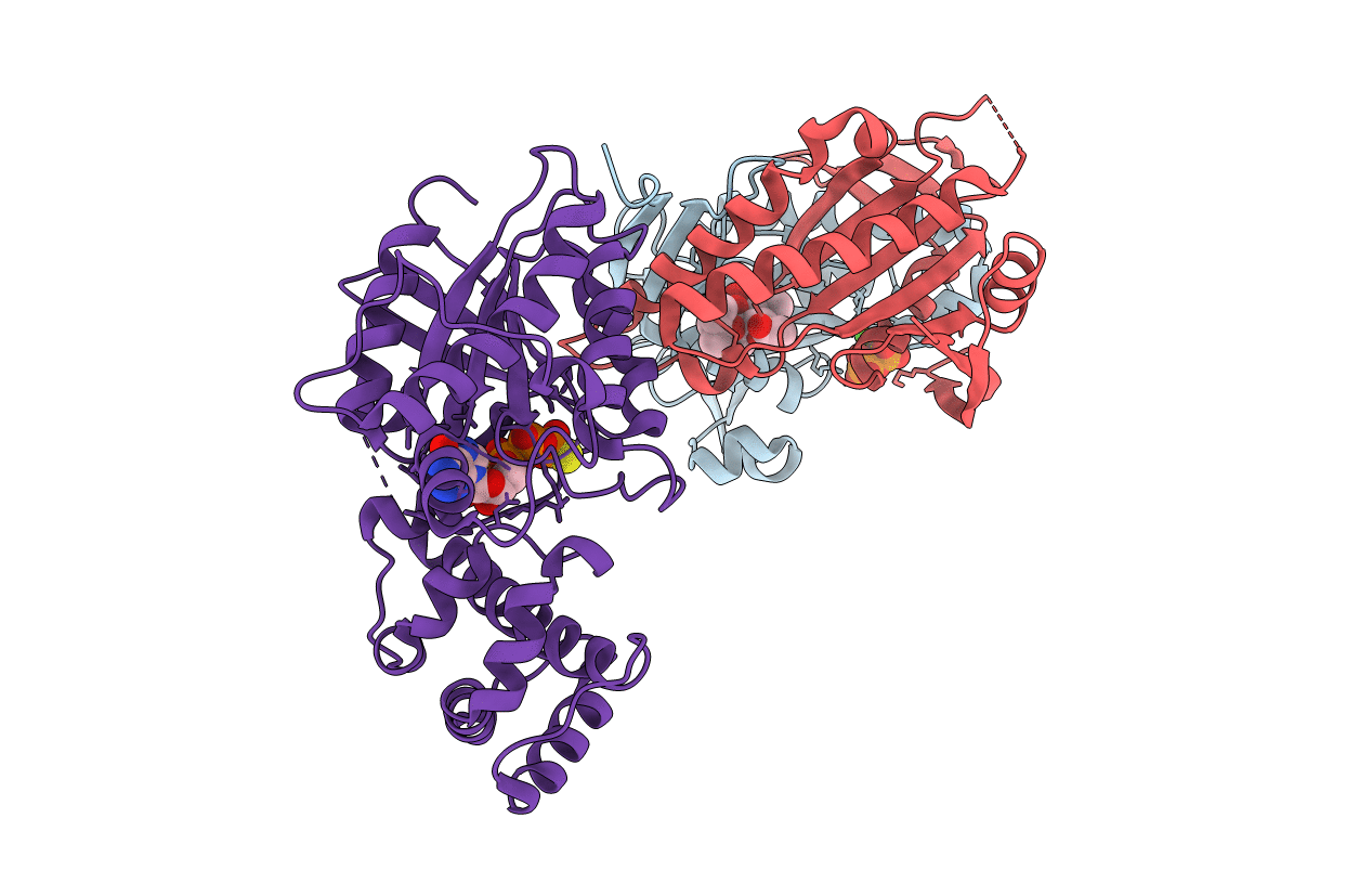 3C14 image