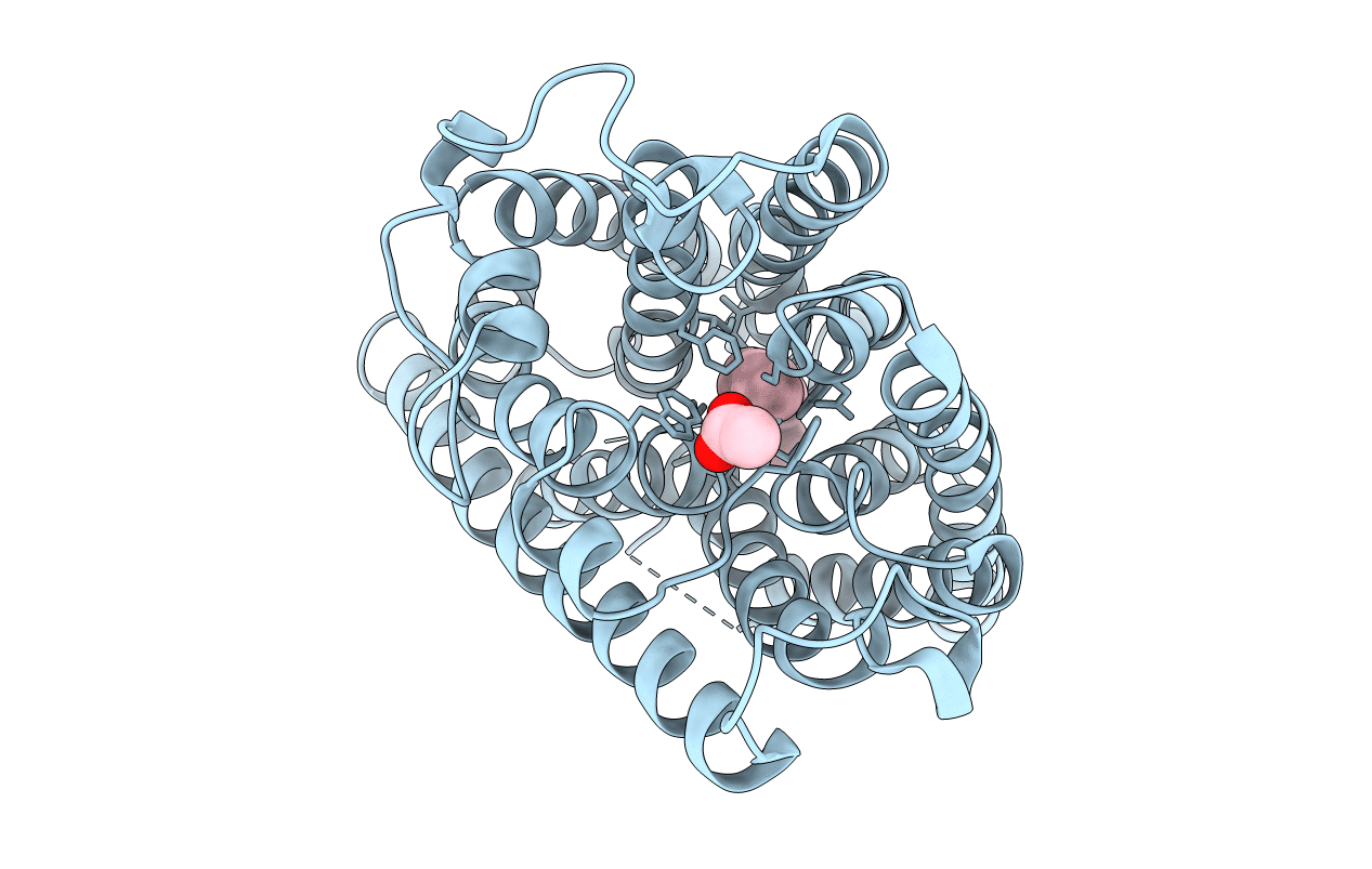 3C1I image