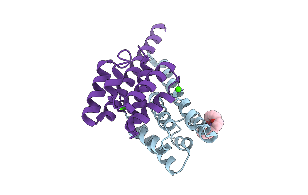 3C1Q image