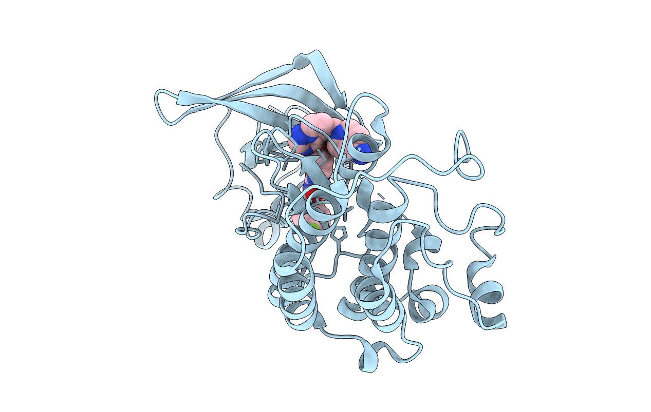 3C1X image