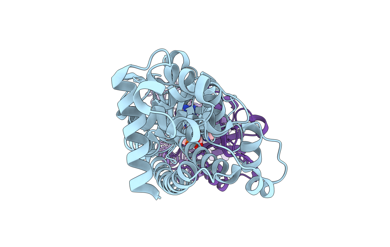 3C1Y image