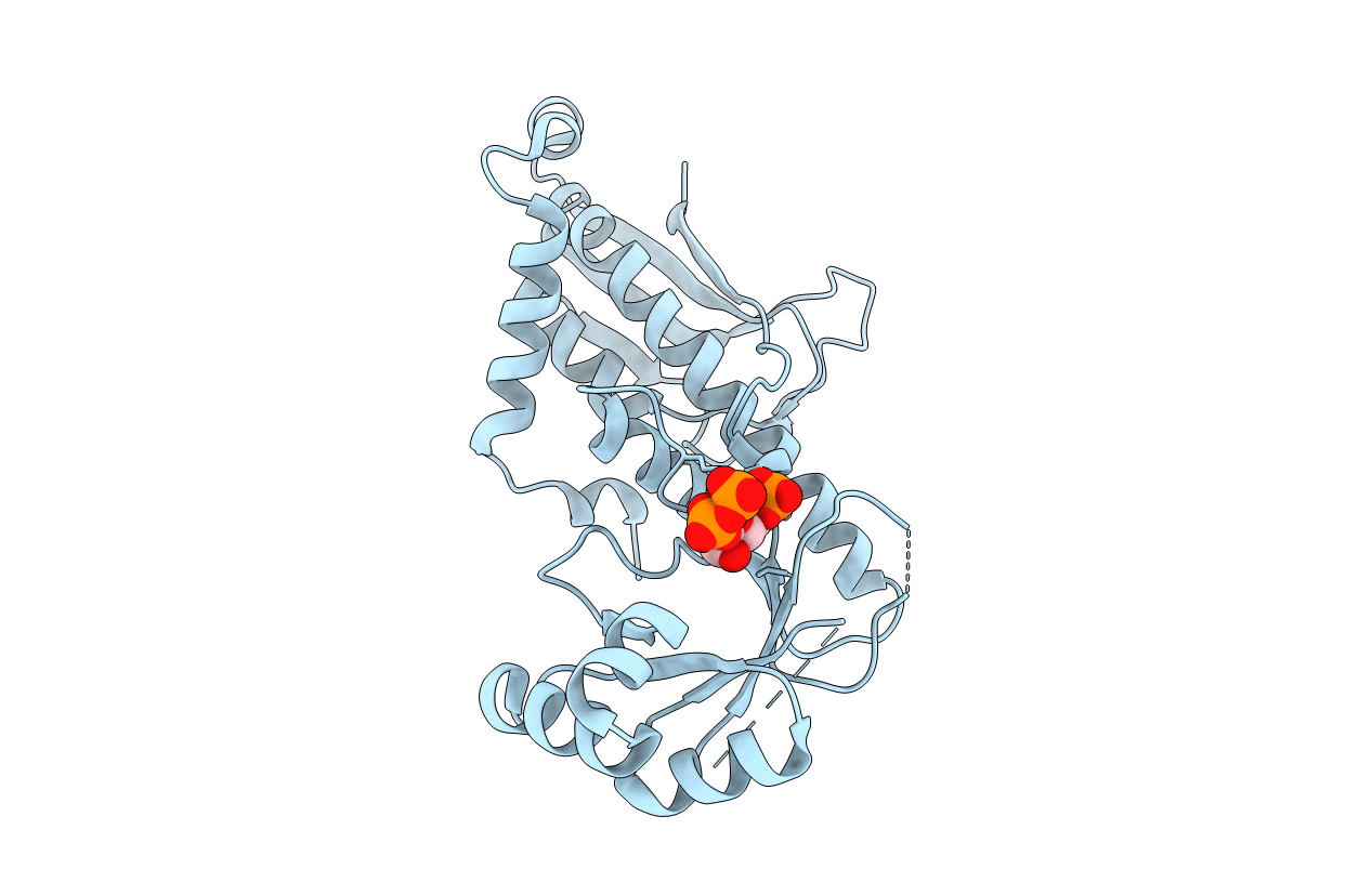 3C2F image
