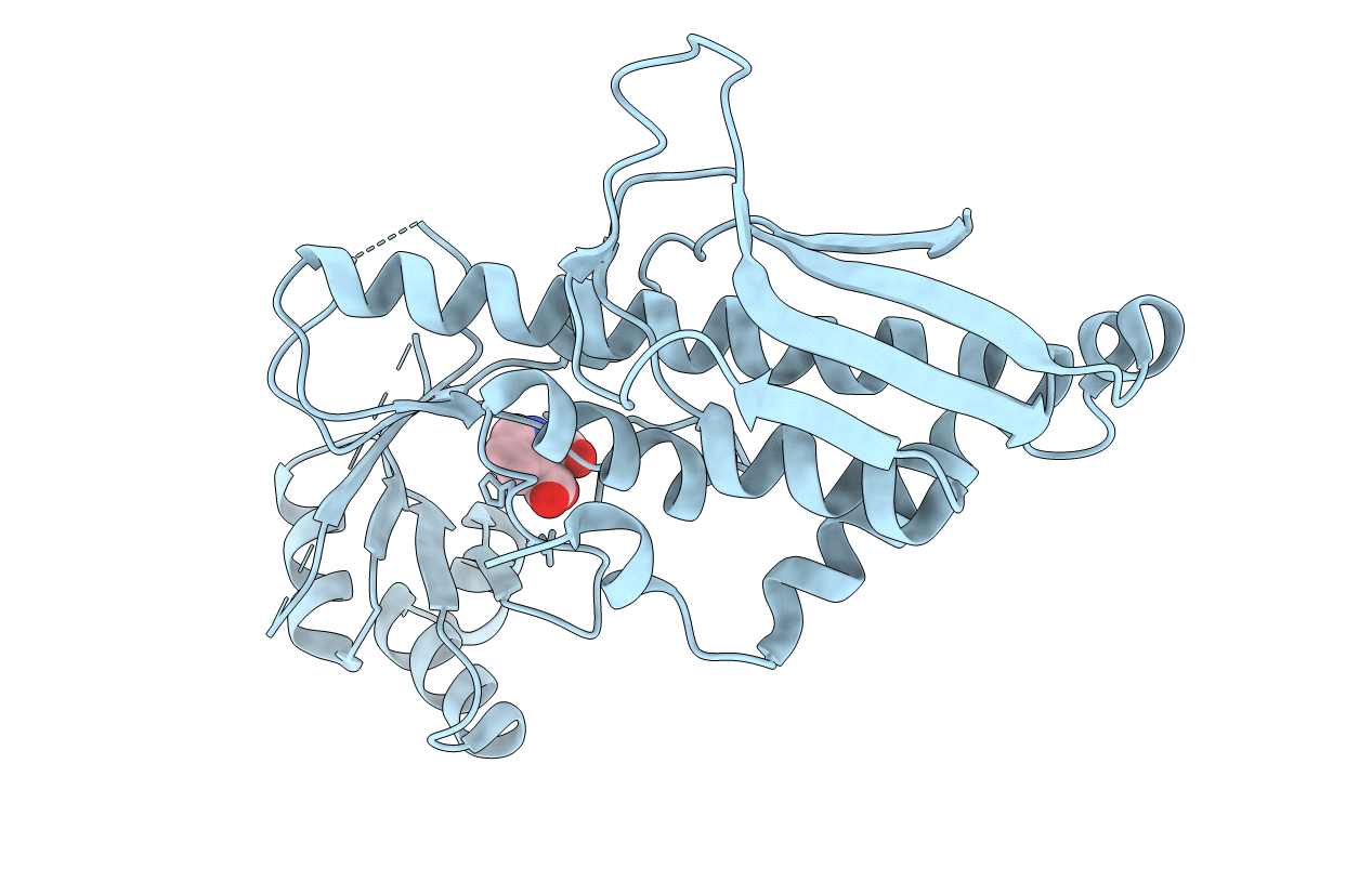 3C2O image