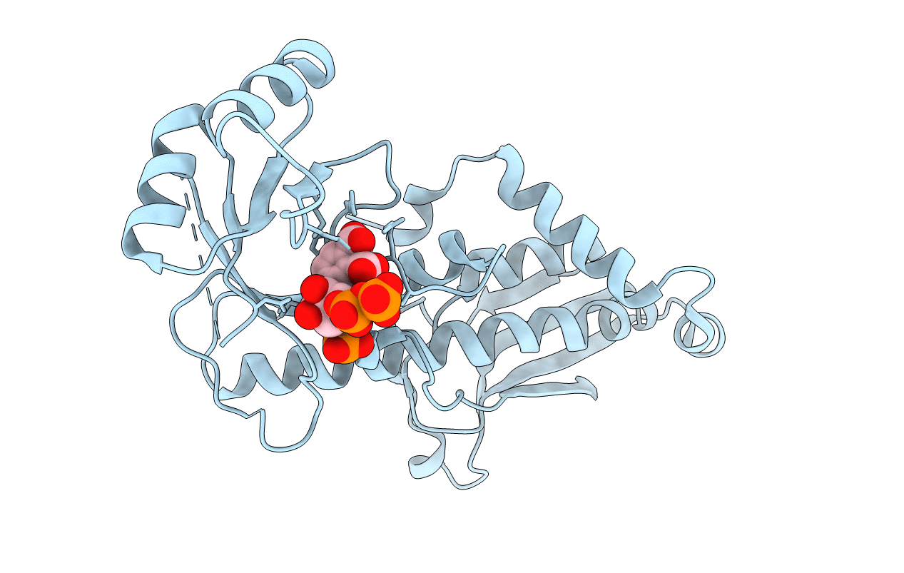 3C2V image