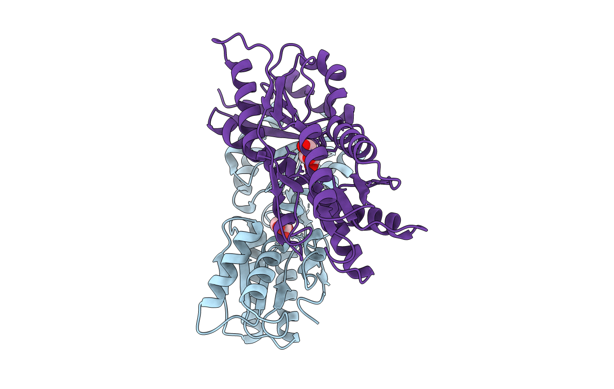 3C3K image