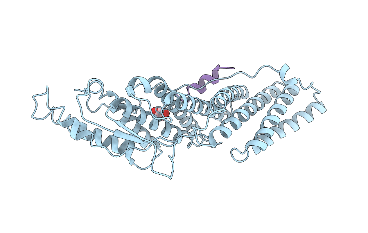 3C3O image