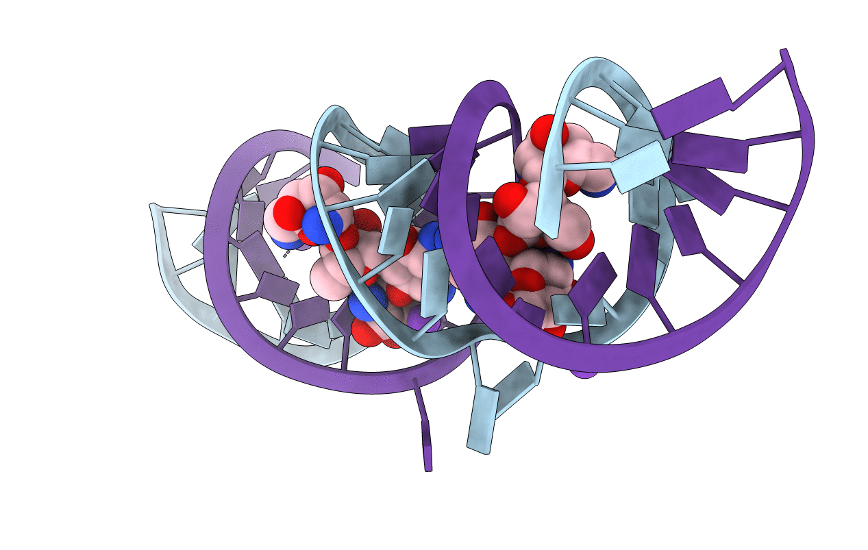 3C44 image