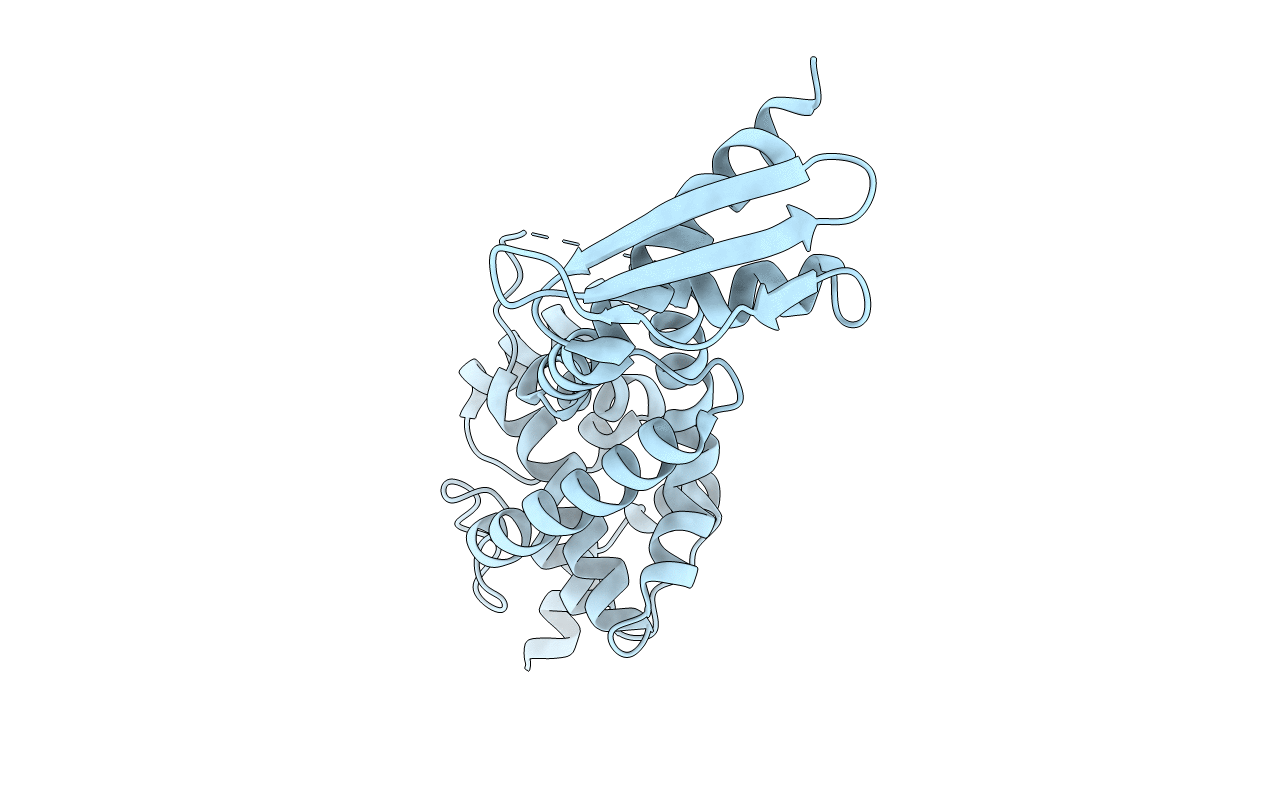 3C4B image