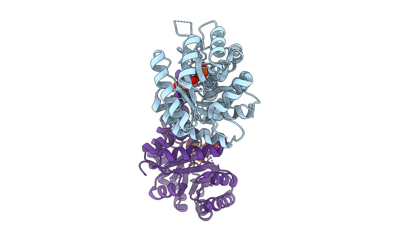 3C56 image