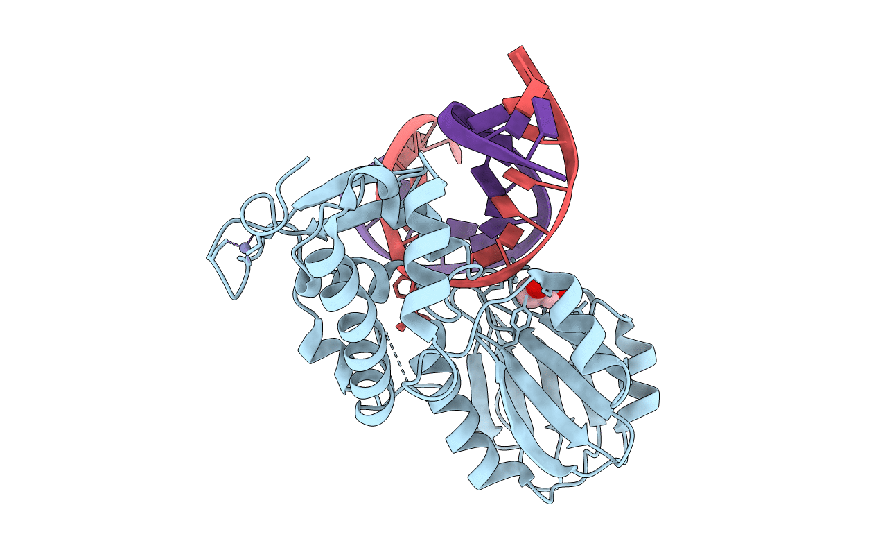 3C58 image