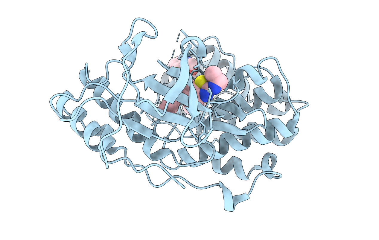3C5U image