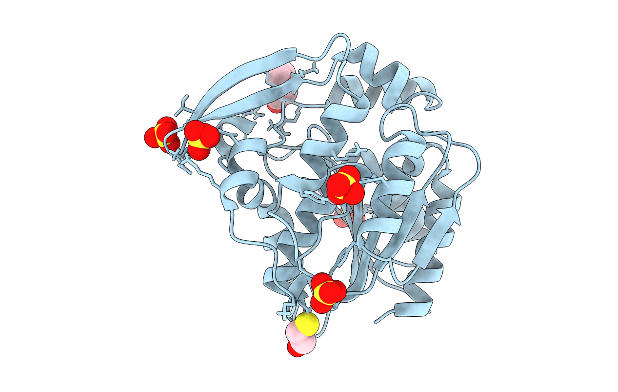 3C6X image