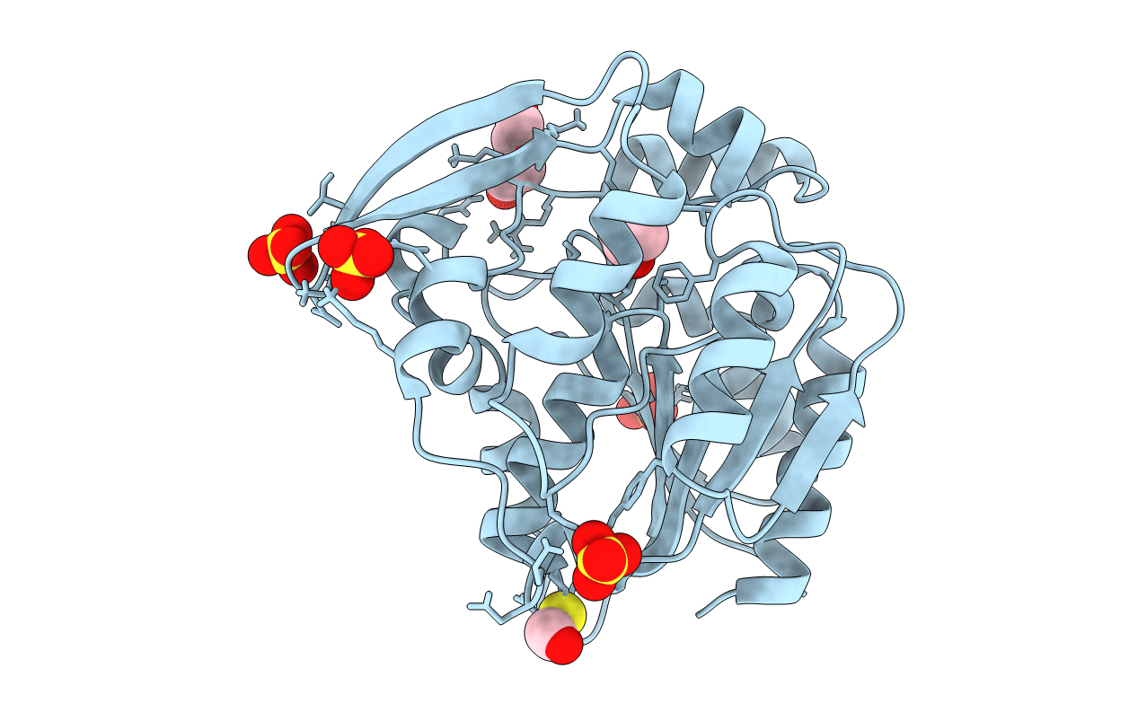 3C6Z image