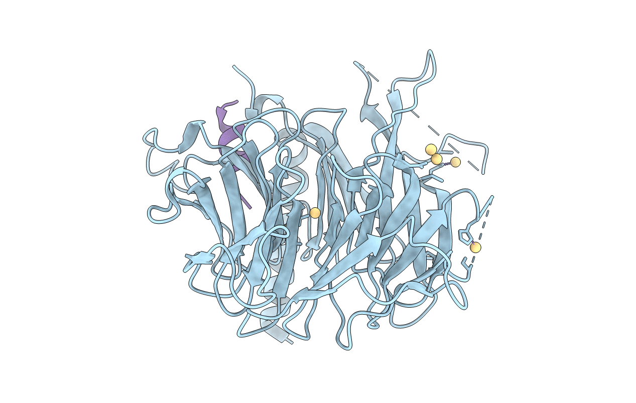 3C9C image