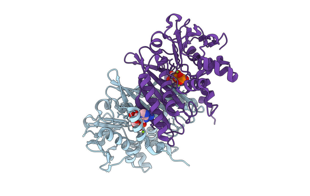 3C9R image