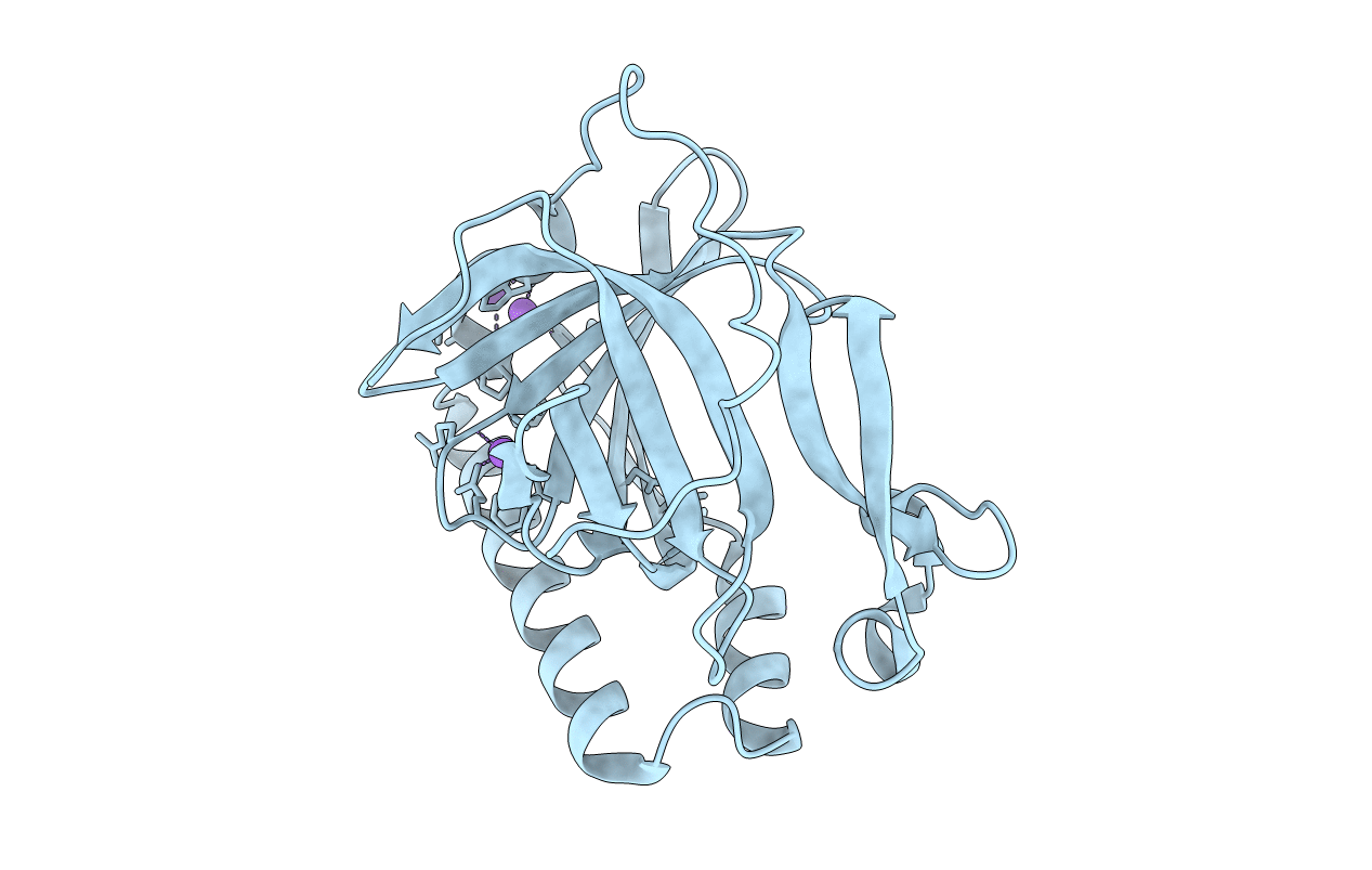 3CBT image