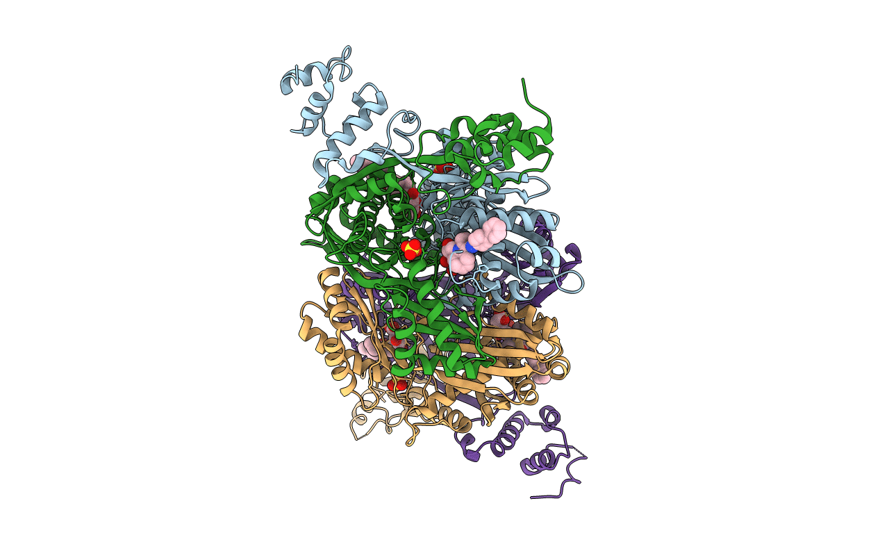 3CD5 image