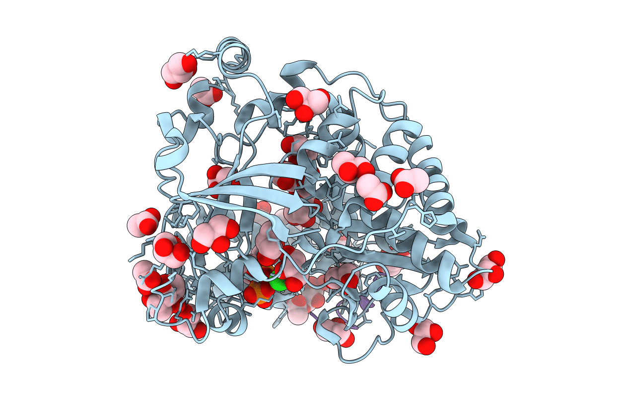 3CDW image