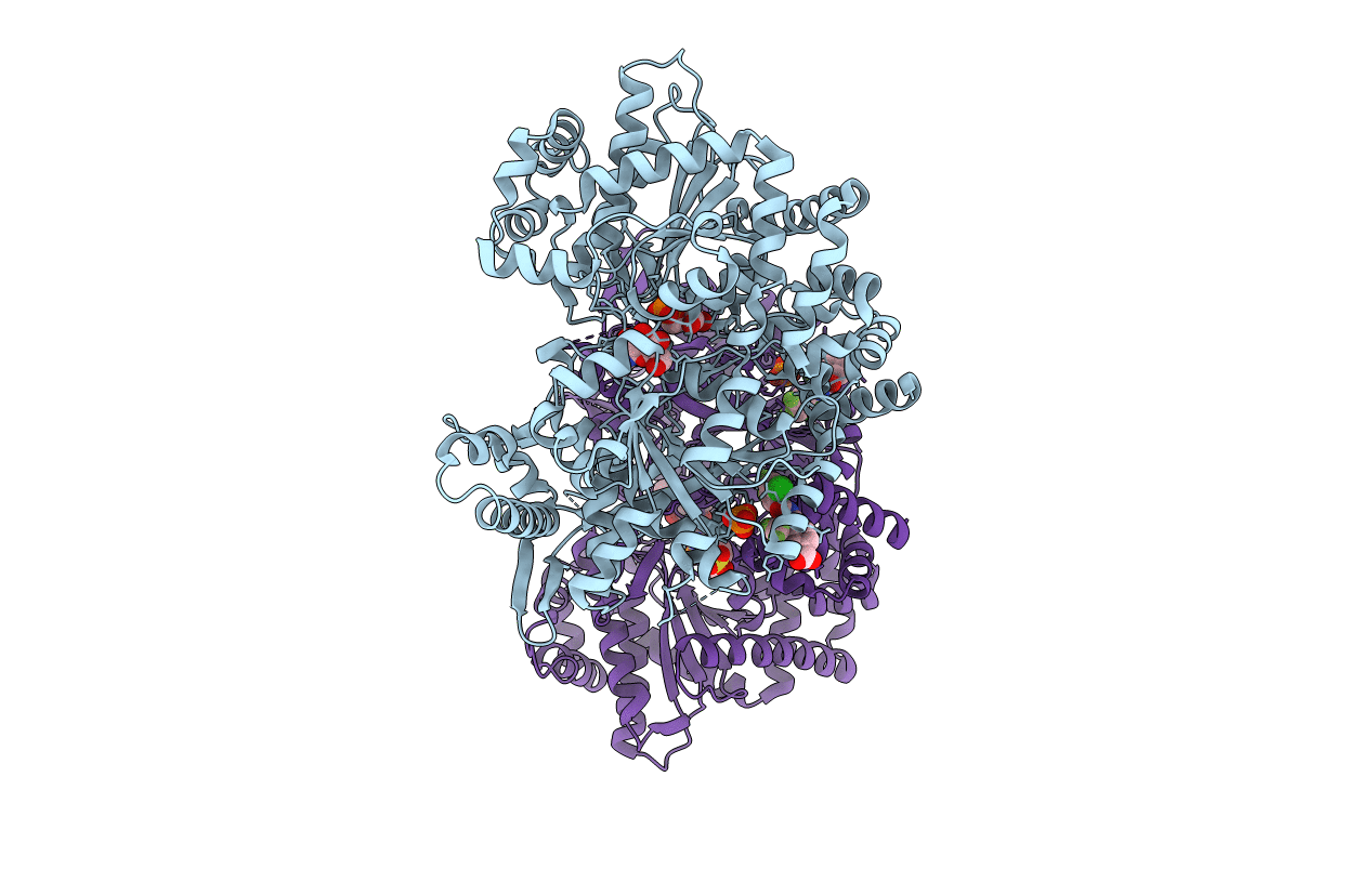 3CEH image