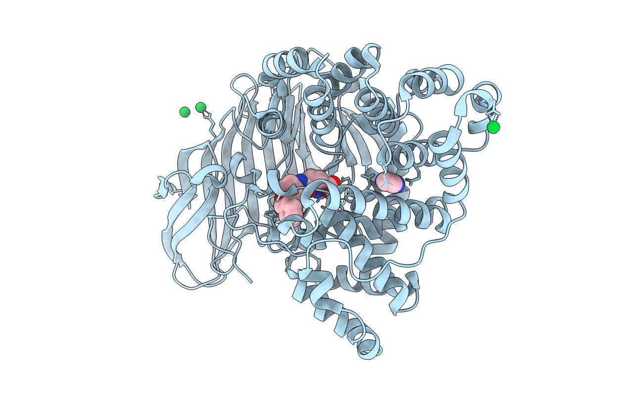 3CHQ image