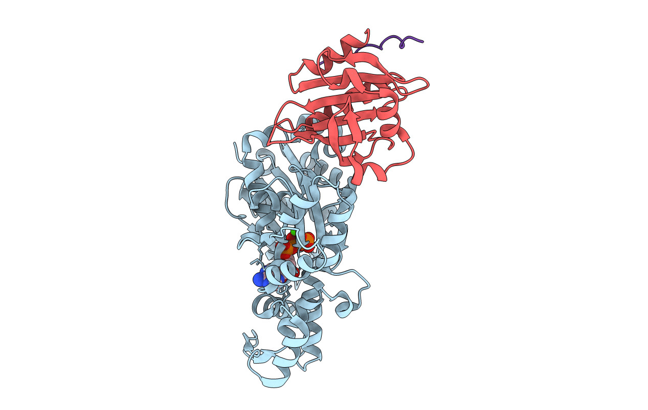 3CHW image