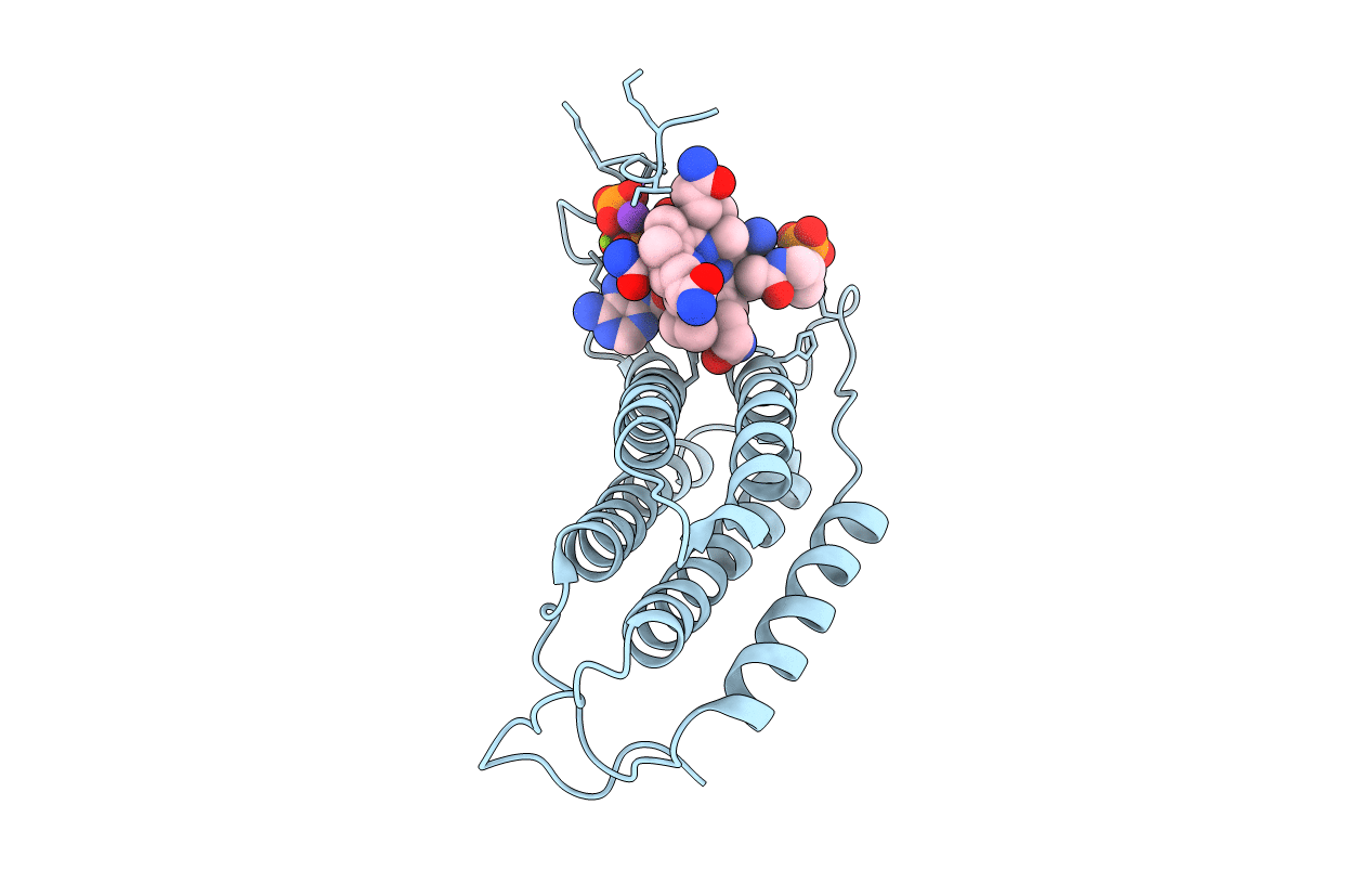 3CI1 image