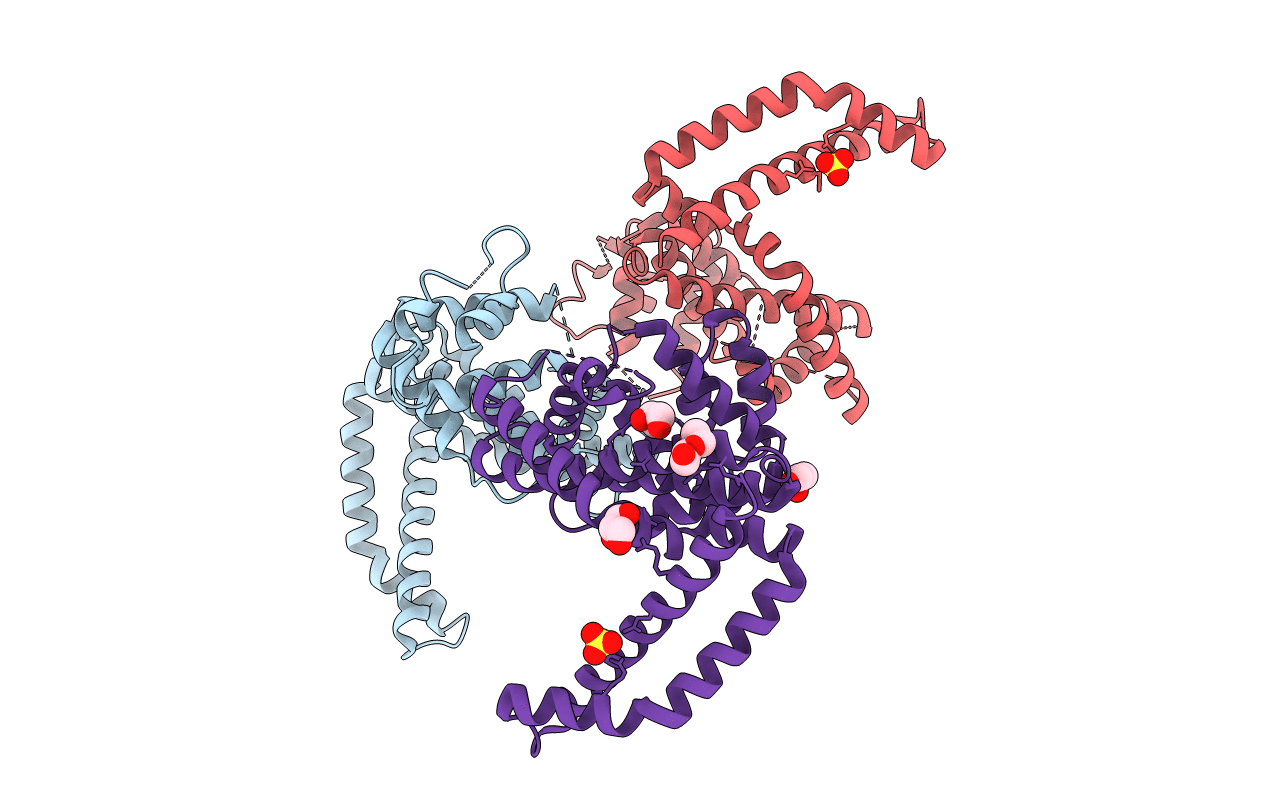 3CKD image