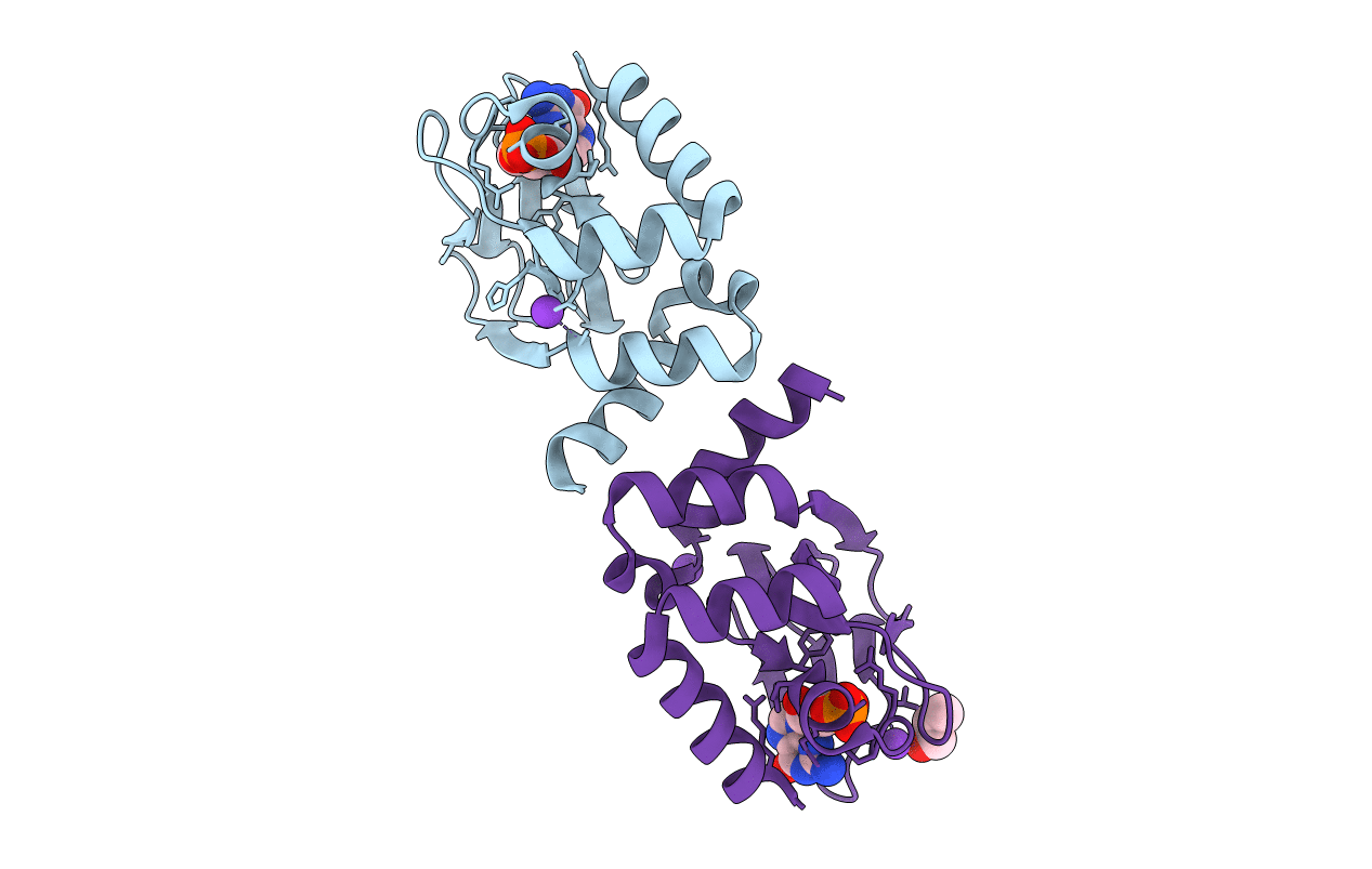 3CL1 image