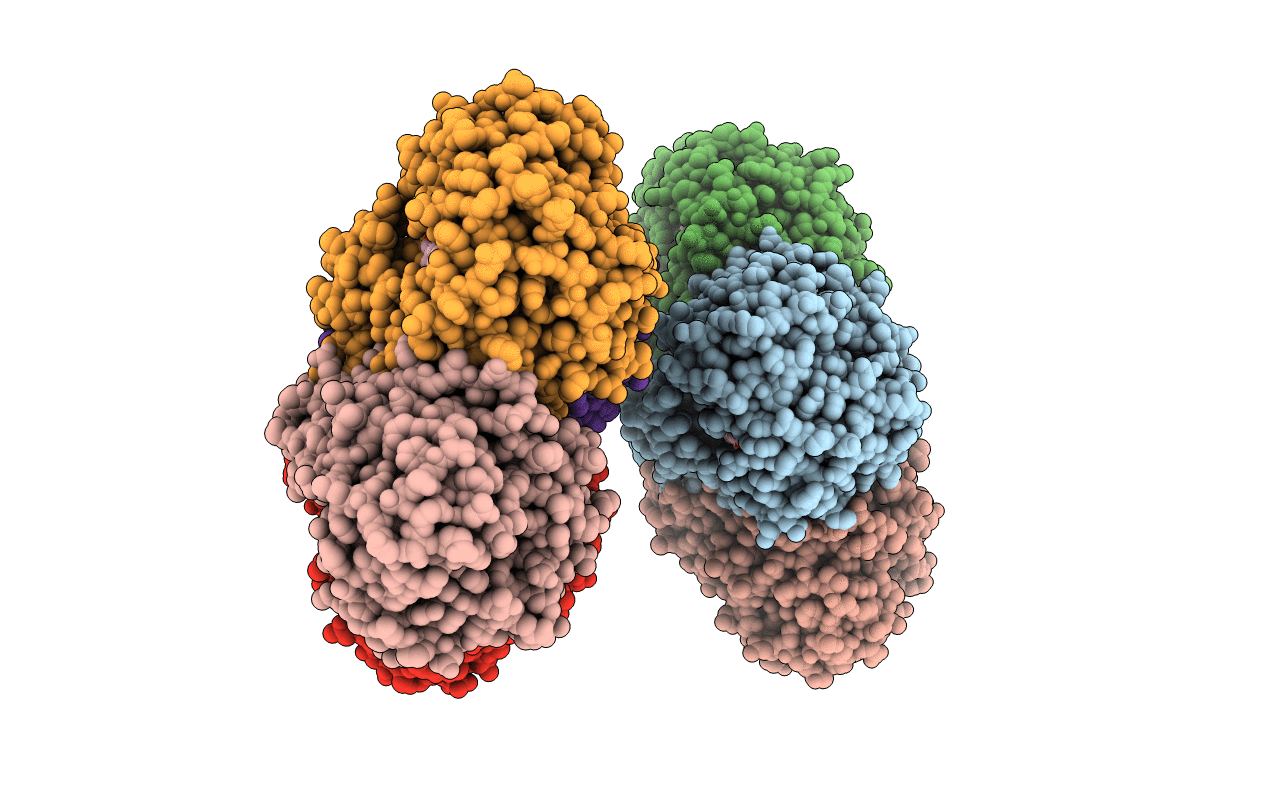 3CL2 image