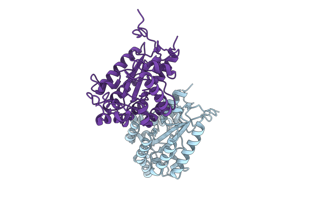 3CL6 image