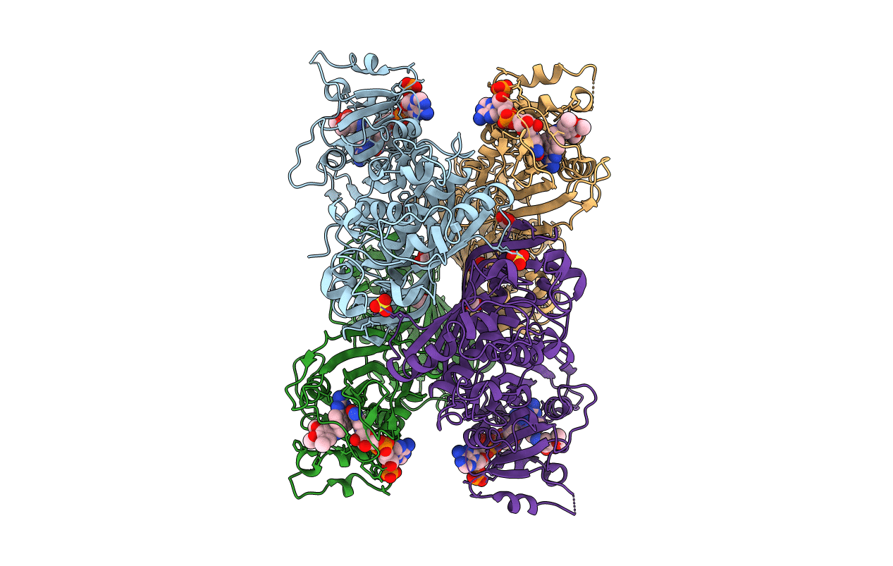 3CLB image