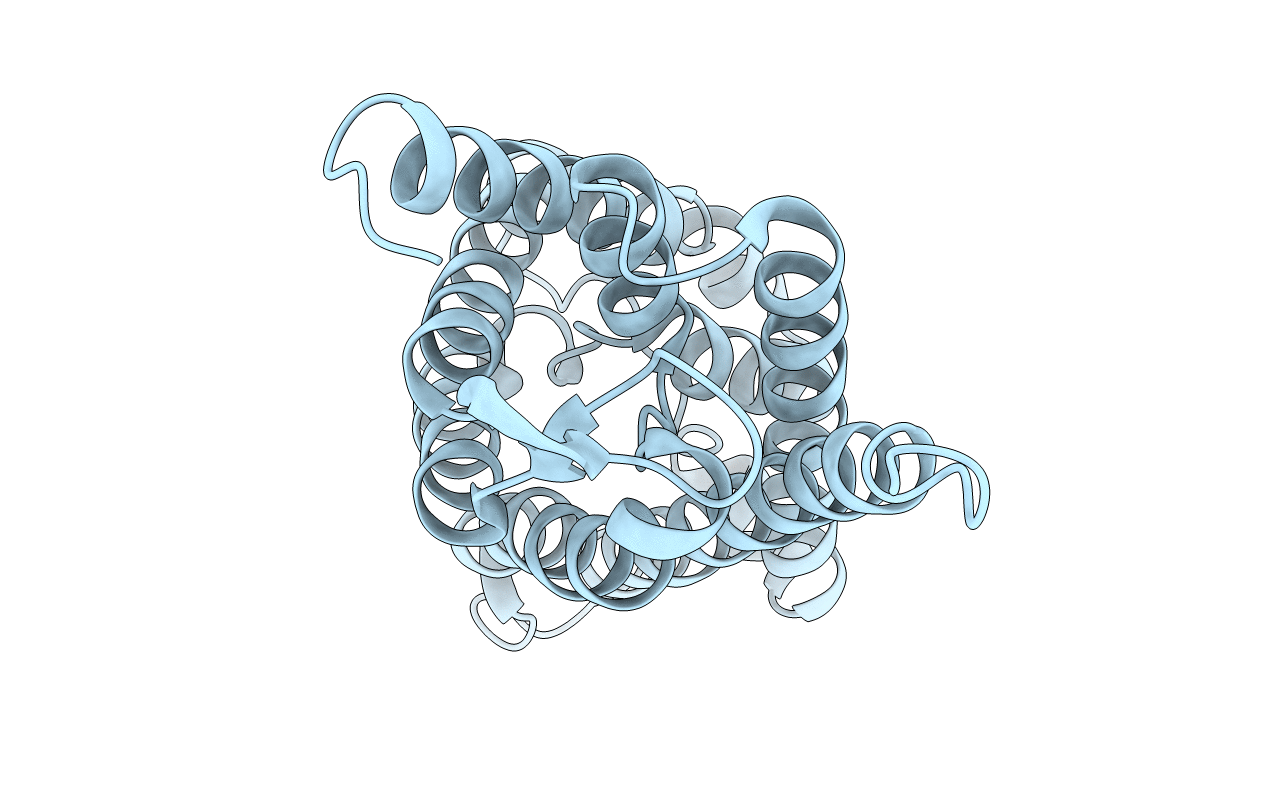 3CLL image