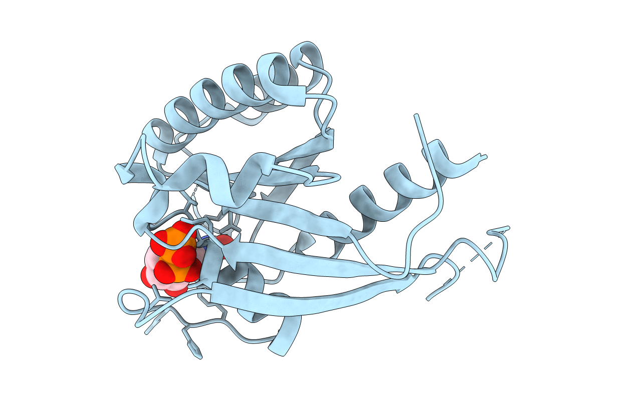 3CLV image
